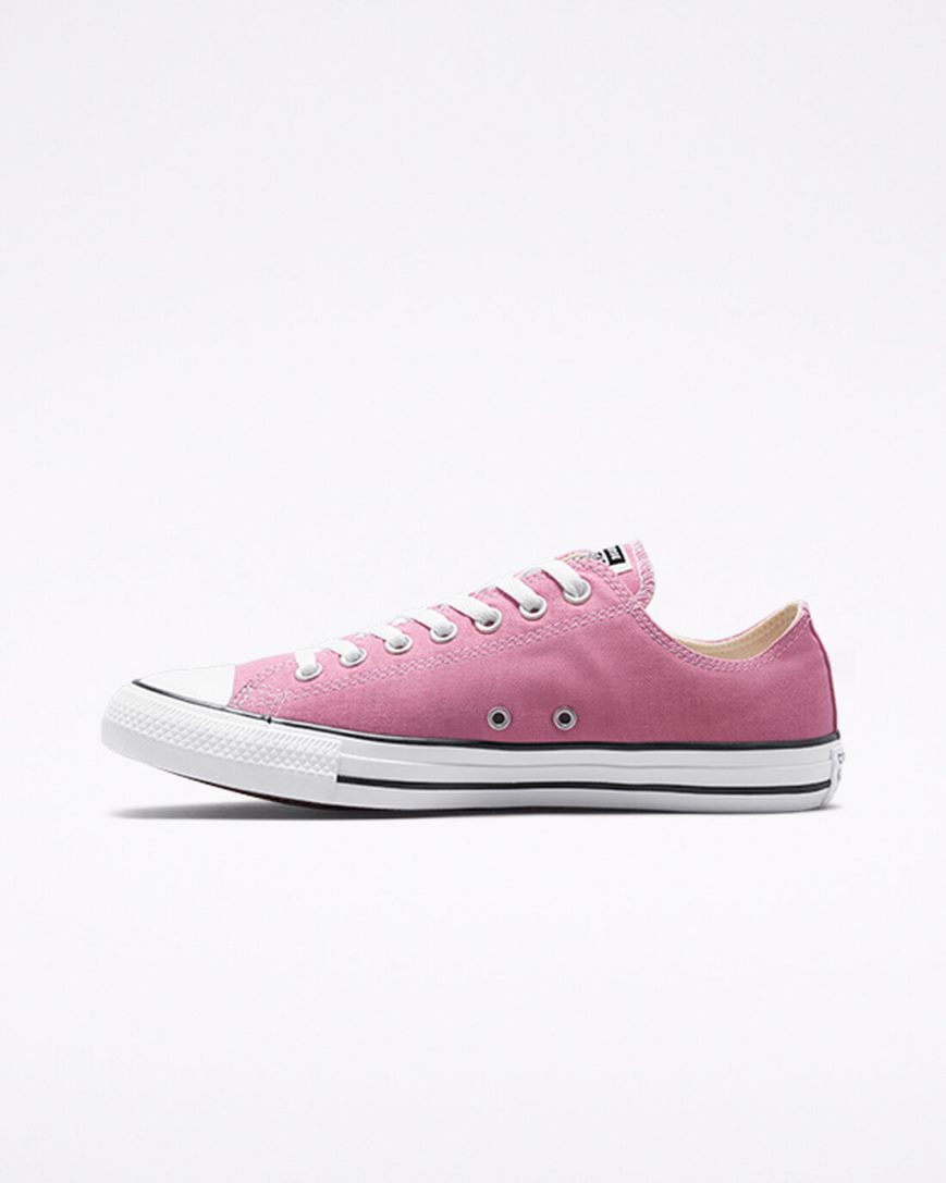 Women's Converse Chuck Taylor All Star Seasonal Color Low Top Shoes Pink | AU C690EZ